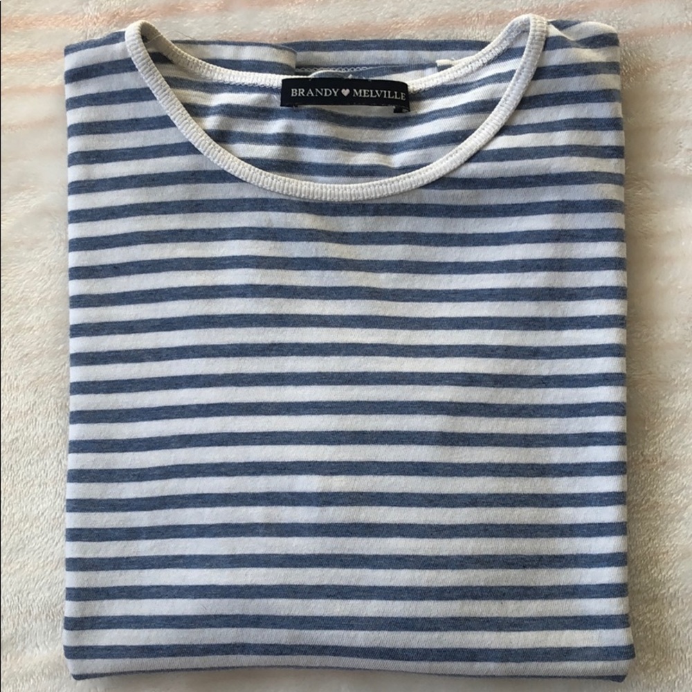 Brandy Melville Crop Top